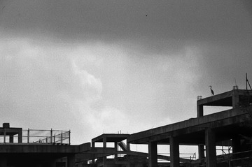 LJK_6038_Dxo（禄来-IR 400)