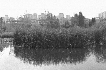 LJK_6073_Dxo_(Fujifilm Neopan 400)
