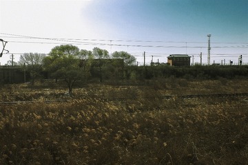 2815896