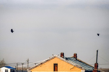IMG_1937_px已调整2