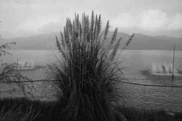 DSCF8252_Dxo_(Fujifilm Neopan 400)_调整大小