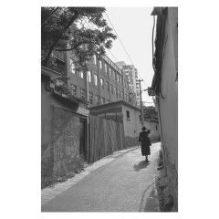 DSCF8837a_px已调整（褪色-鲜明的冷色高光）jk