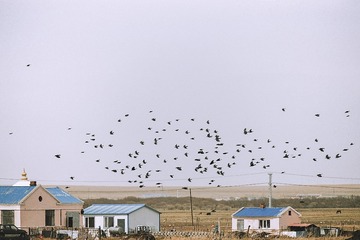 IMG_2745_px已调整