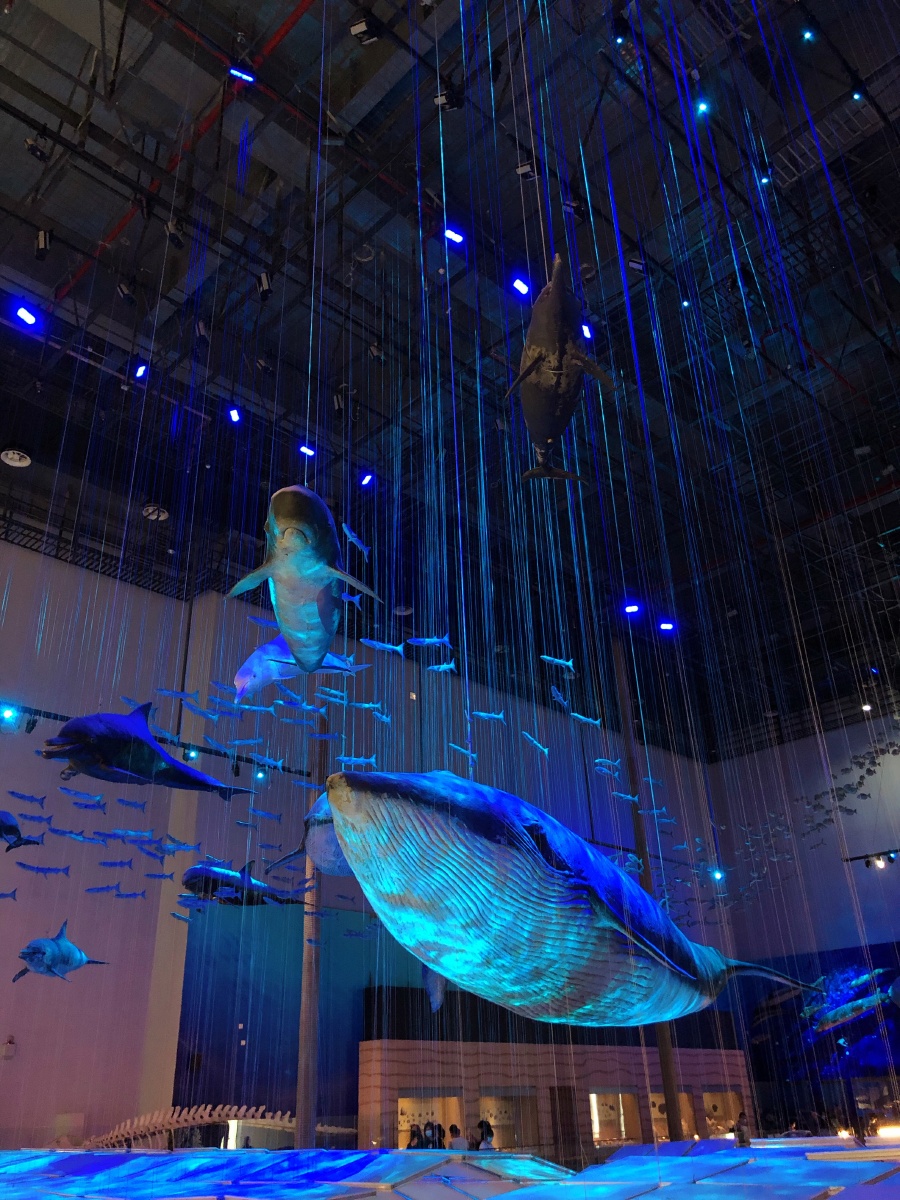 广东省博物馆海洋馆