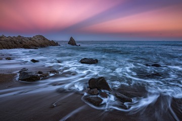 _DSC1502