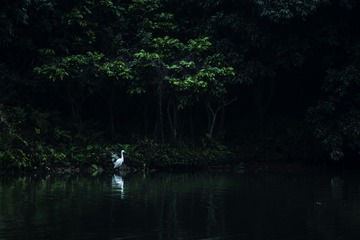 DSC_9622_