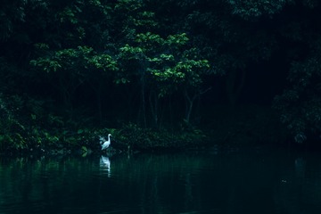 IMG_20161224_215047