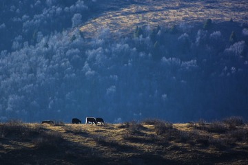 DSC_6730_