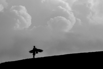 DSC_3219_