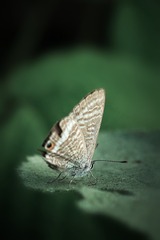 1407001