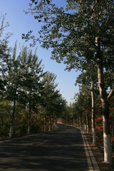 路