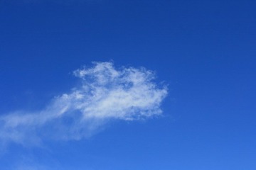 狗头