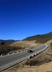 纳帕海旁的公路