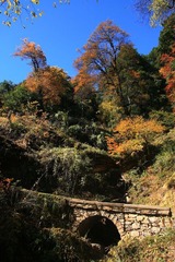 明永冰川之秋色