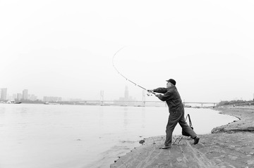 _DSC8049