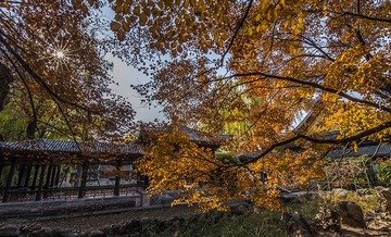 IMGP2014_3