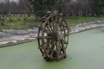 67846
