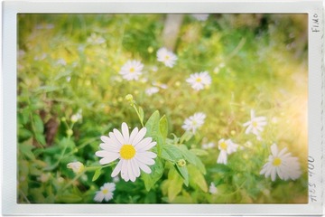 C97CCFF7-7CC5-492C-909B-0A14EA1AFF3C/L0/001