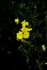 91C610B4-5899-43C5-9A0D-EC3C5B5C3526/L0/001