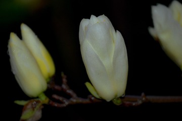 71337370-36E3-4232-AA37-890123BFE00F/L0/001