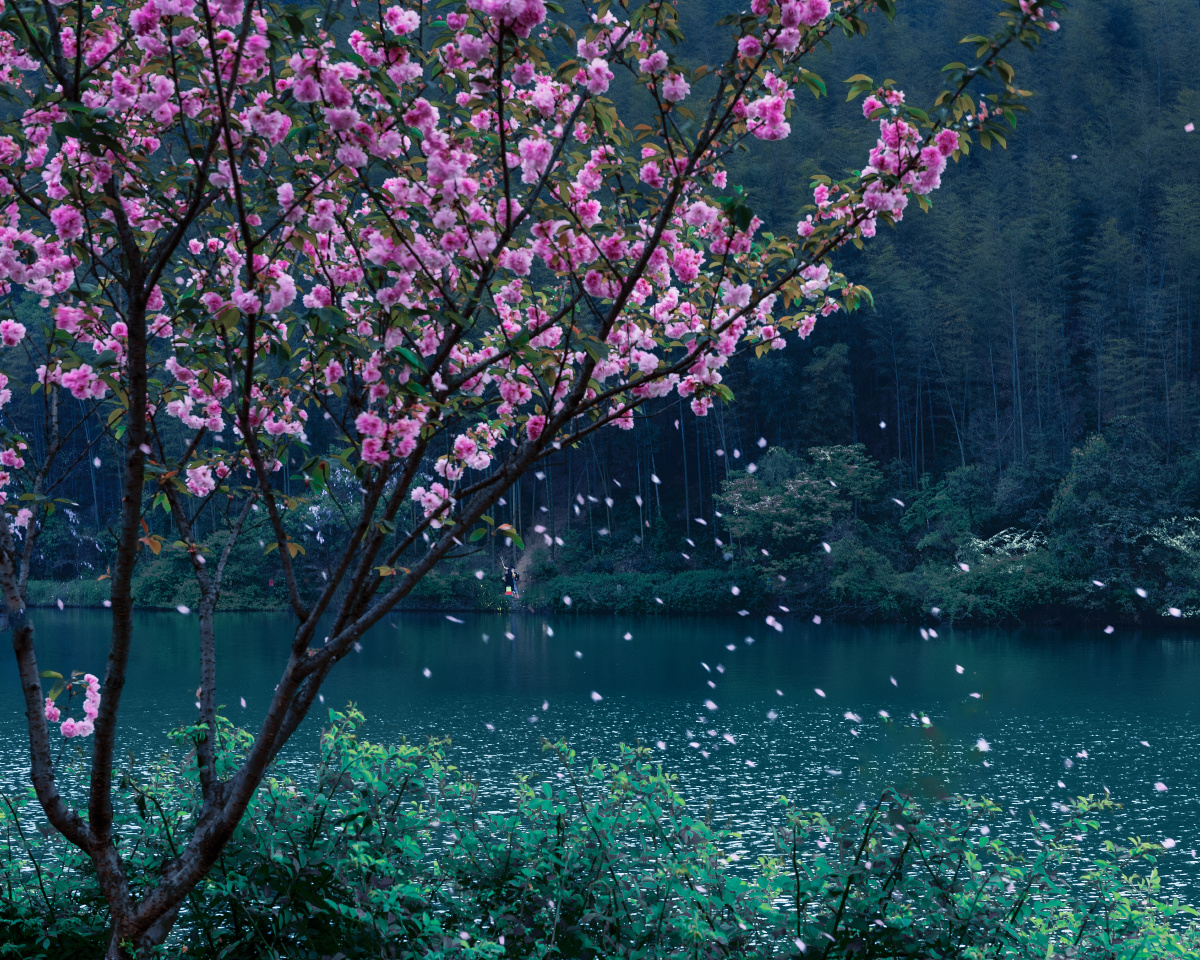 落花有意流水无情