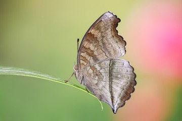 29FDFBDE-60AD-4B03-945C-B28C0331A492/L0/001