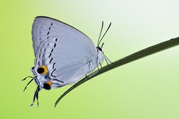 F6611D9A-1DA7-49B2-A2C2-0E178097FDDD/L0/001