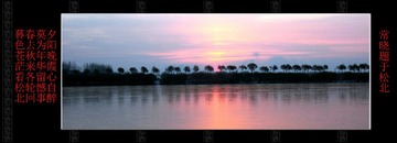 DSCN9833__comps