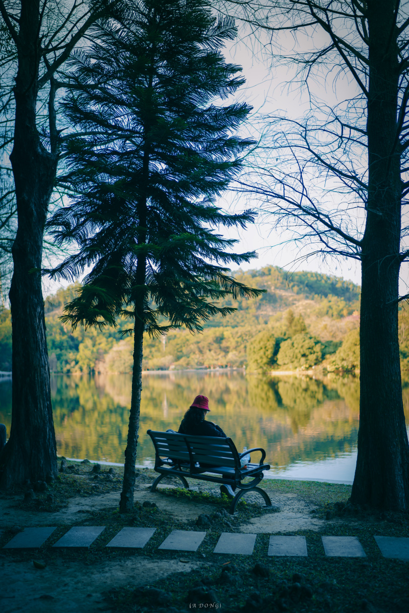 说孤独嘛好像也不是只想静静的看看山看看海看看遇到的你们只有独处