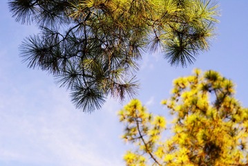 2DFD055F-B249-4910-A5B1-2ECA64CF99A2/L0/001