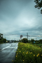 426583