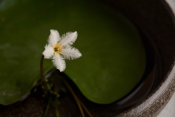1262316