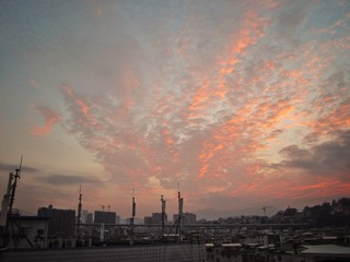IMG_7038-01