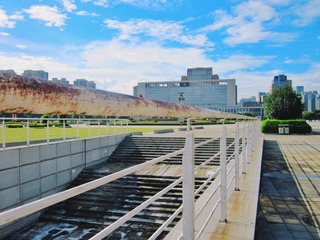 IMG_8073-01