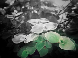 IMG_7924-01