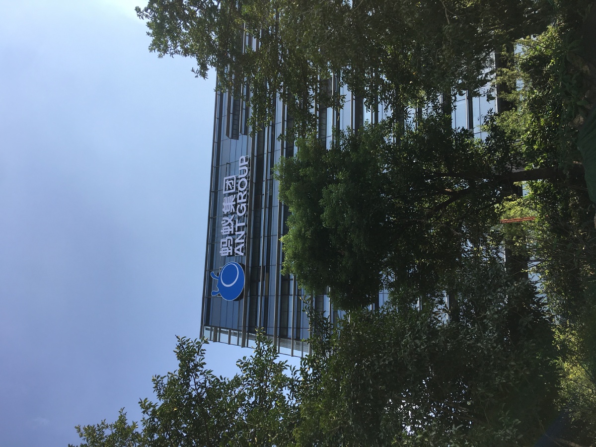 蚂蚁金服改成了蚂蚁集团小蚂蚁变成了大蚂蚁了