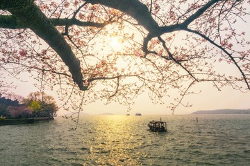 DSC_0002-编辑