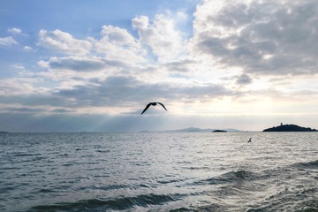 DSC_0006-编辑