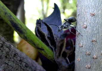 P1160746