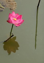 P1190753