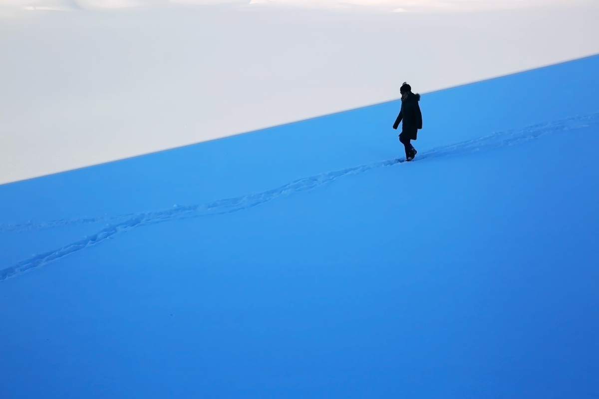 雪地独行者 - 大梁愚公