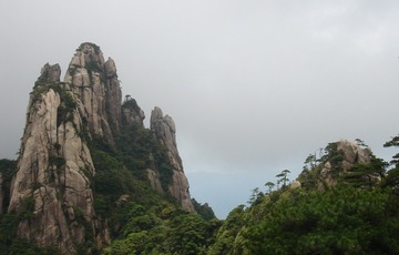 DSC03950