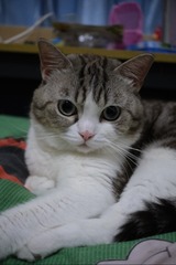 A02E2BED-FCFF-4B96-9343-78345055CCDD/L0/001