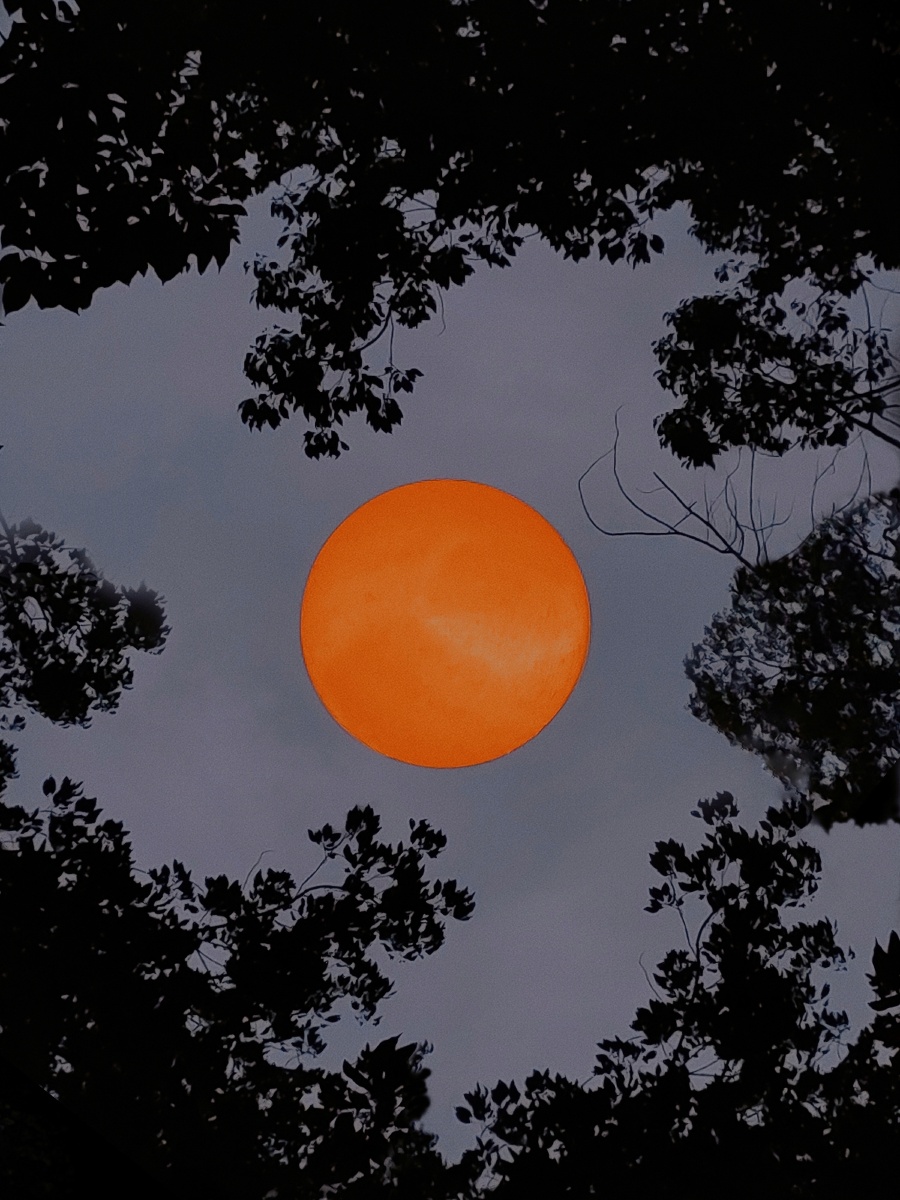 中秋月挂天上映木楼照小窗