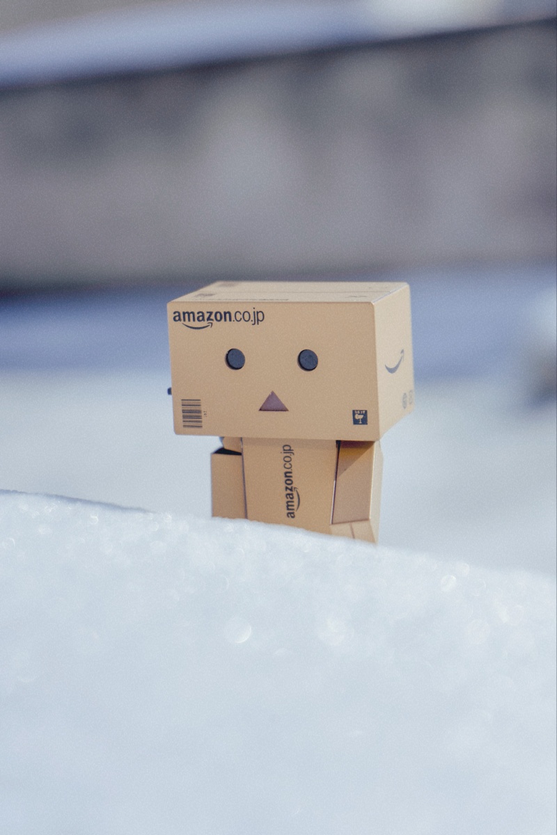 雪地的纸盒人