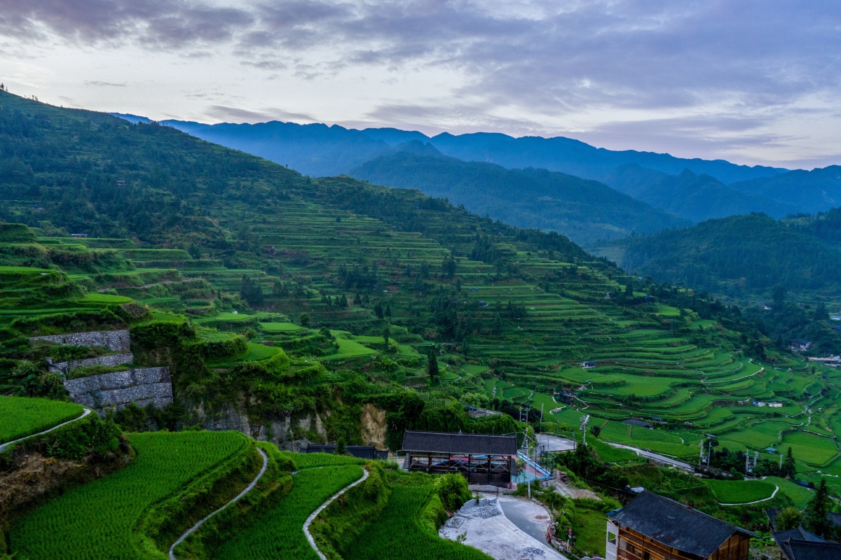 西江千户苗寨梯田日出晨雾
