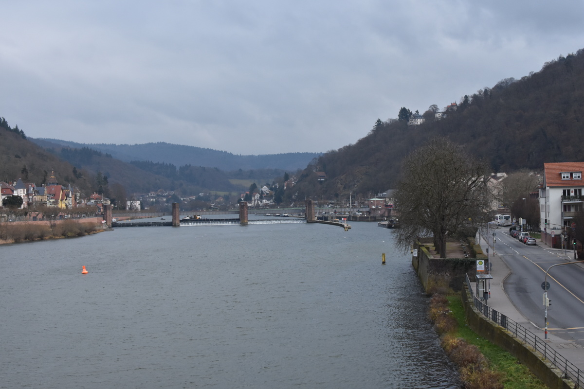 据说海德堡大学是德国第一所大学培养了多名诺贝尔奖获得者一条河从