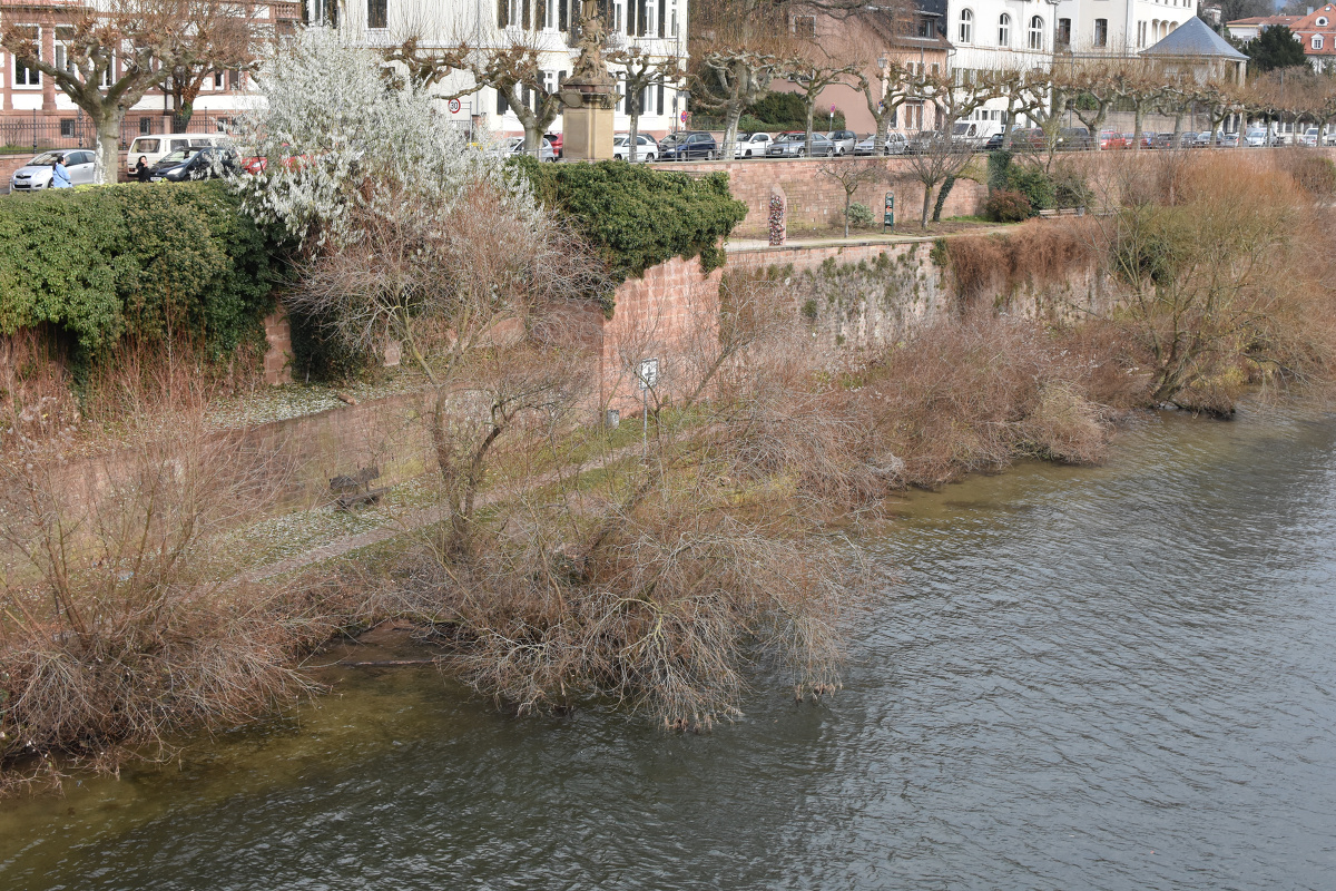 据说海德堡大学是德国第一所大学培养了多名诺贝尔奖获得者一条河从