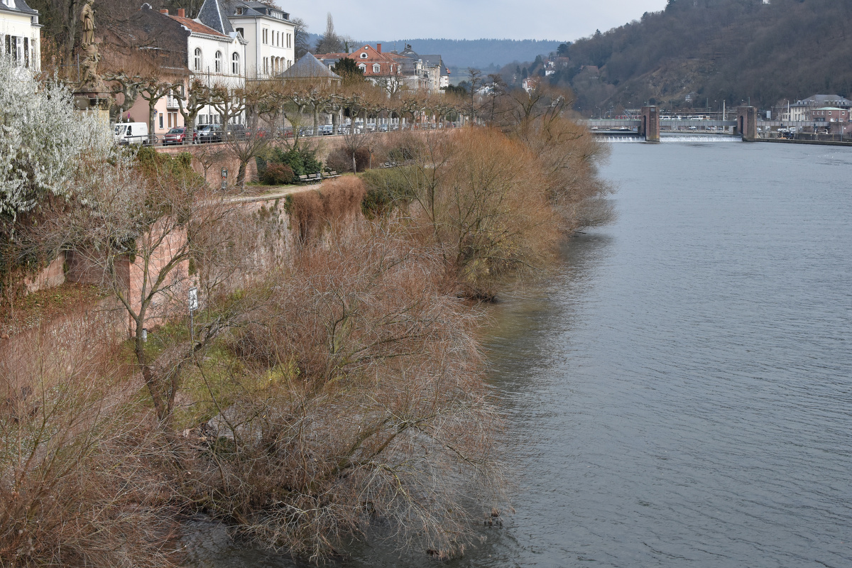 据说海德堡大学是德国第一所大学培养了多名诺贝尔奖获得者一条河从