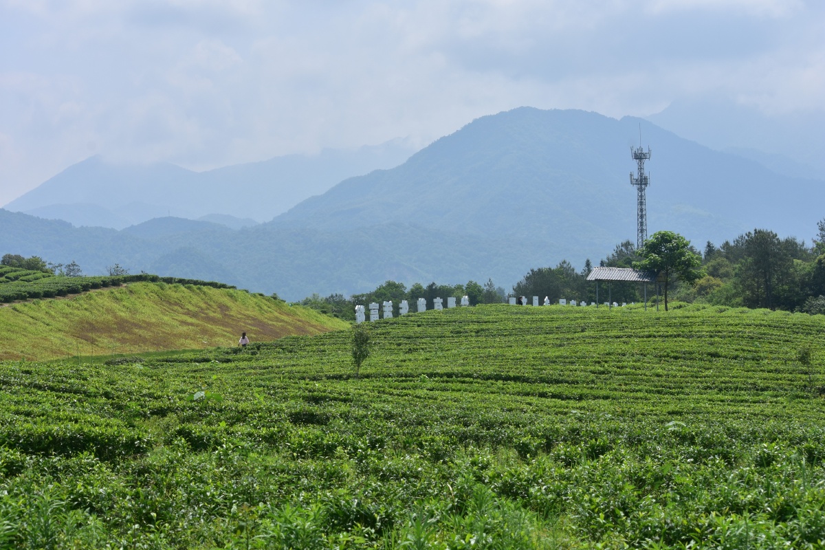 景德镇高岭中国村的初夏